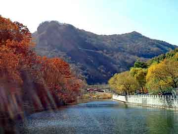 新澳天天彩免费资料大全查询，油饺机